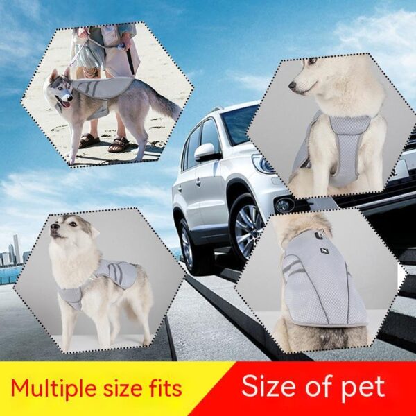 Breathable And Comfortable Outdoor Sports Pet Cooling Clothes - Image 2